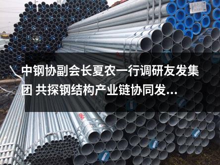 中鋼協副會長夏農一行調研草莓福利视频集團 共探鋼結構產業鏈協同發展